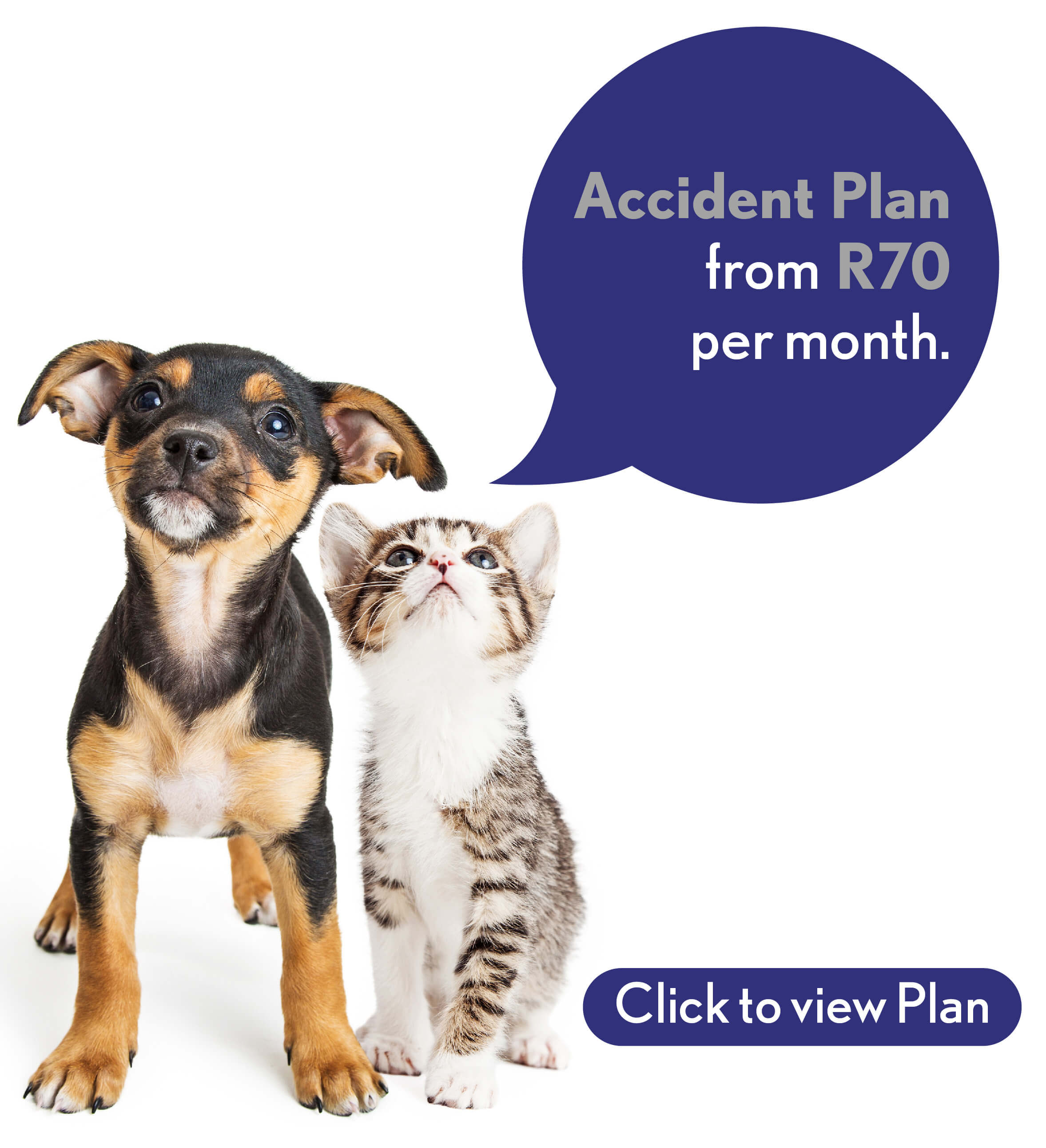 Pet Accident Plan Image